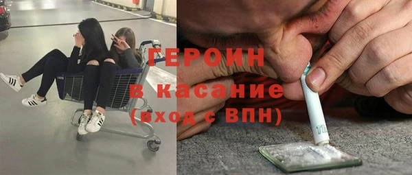прущие грибы Пестово
