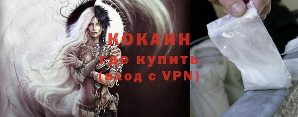 прущие грибы Пестово
