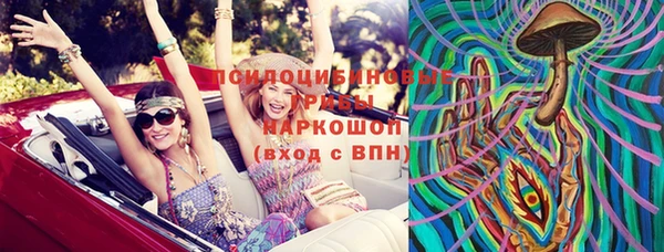 прущие грибы Пестово